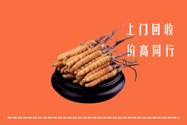 高价求购：北京海淀回收散虫草