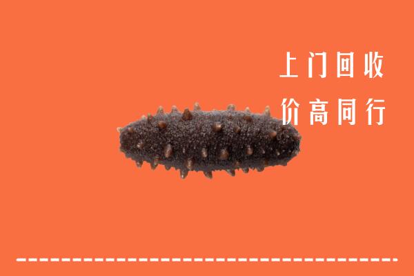 高价求购：北京海淀回收海参