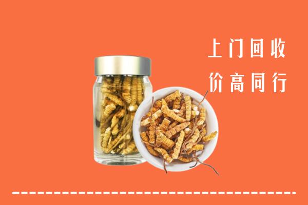 北京海淀回收冬虫夏草